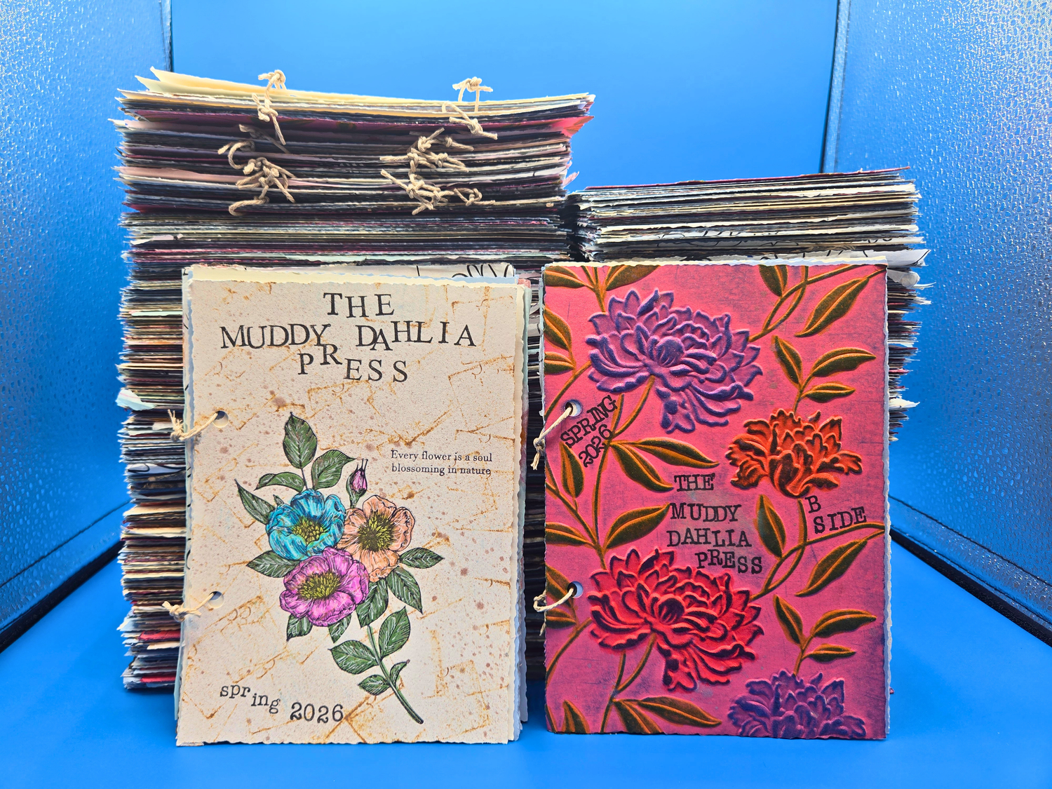 Zine Collection