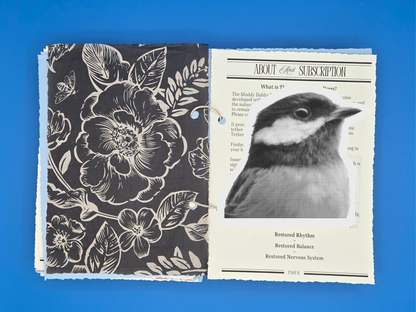 Beautifully Fully Hand-Crafted Nervous System Reset 32 Page Booklet (Lyric Essay, Collage, Activities, and Tissue Paper Pouch Insert)).